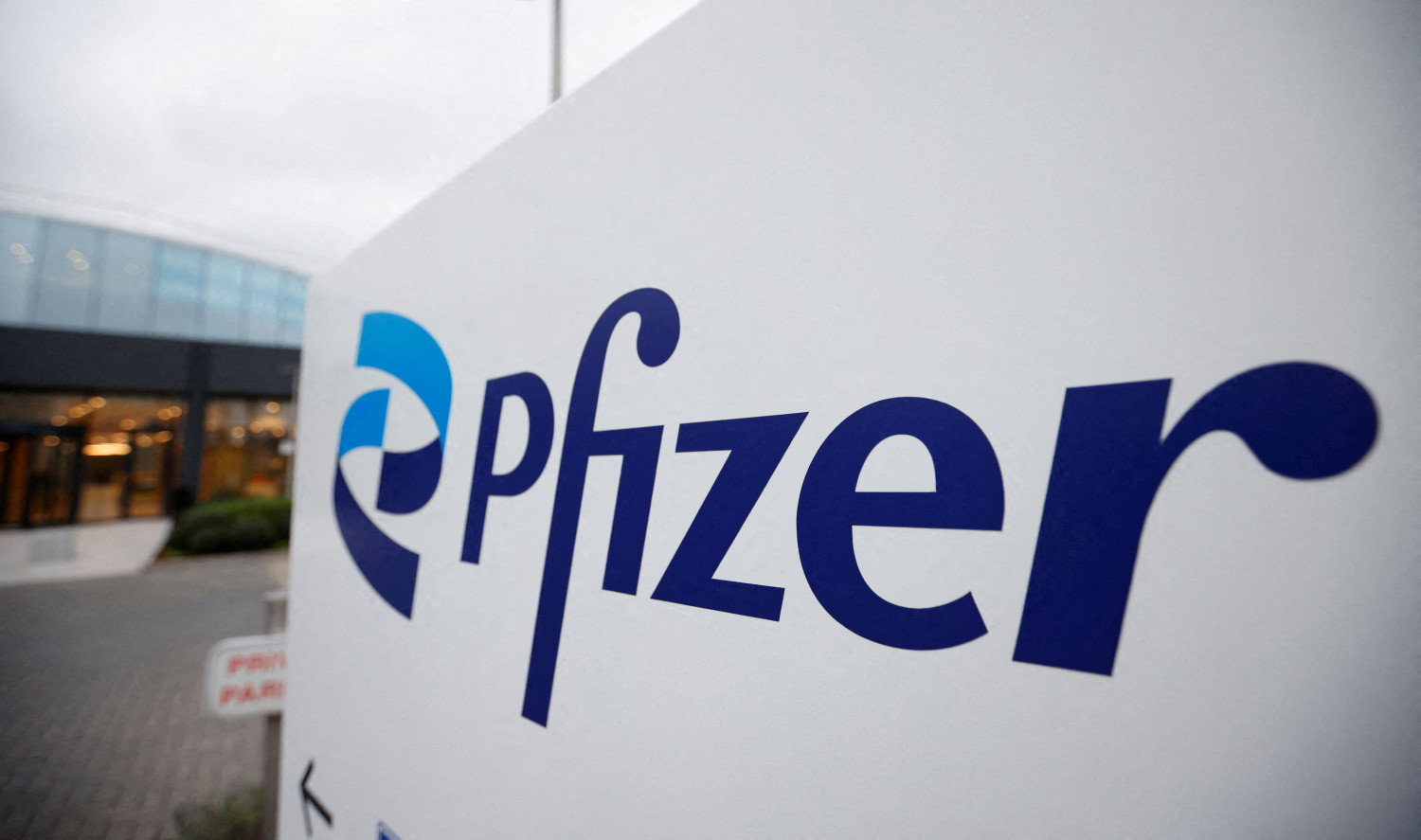 le logo de pfizer 