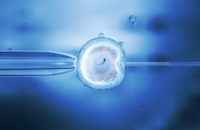 np margen mutaciones