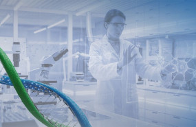 da94ce2c1f9c161cf5c91d4a0cba