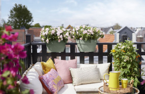 elho vibia campana flower bridge 20250605110526 