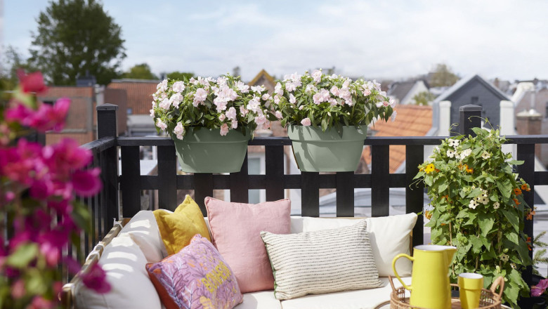 elho vibia campana flower bridge 20250605110526 