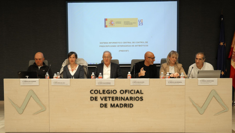 entrada en vigor de la obligacion de comunicar la prescripcion de antibioticos a presvet para los animales de compania 1 