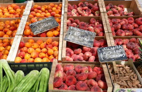 ep archivo   cajas de piezas de frutas