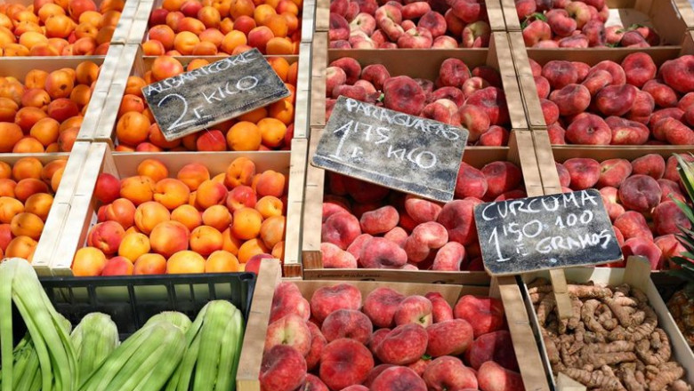 ep archivo   cajas de piezas de frutas
