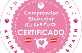 ep archivo   compromiso bienestar certificado