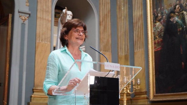 ep archivo   la senadora del bng carme da silva en rueda de prensa