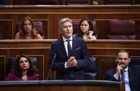 ep fernando grande marlaska ministrointerior ensesioncontrol