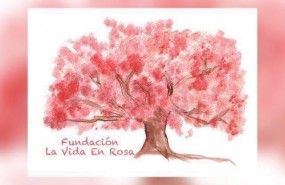 ep fundacionvidarosa