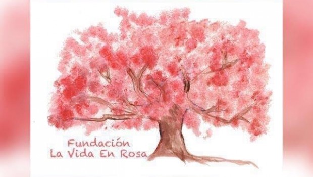 ep fundacionvidarosa