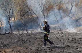 ep incendio en cenicientos y cadalso