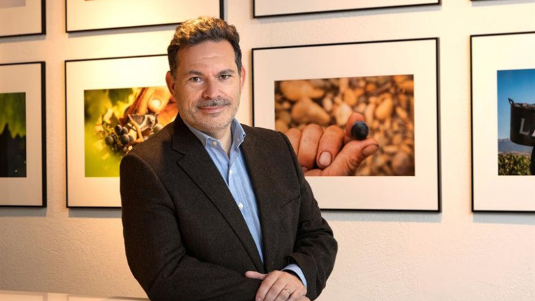ep julio martins director general bodegas lan
