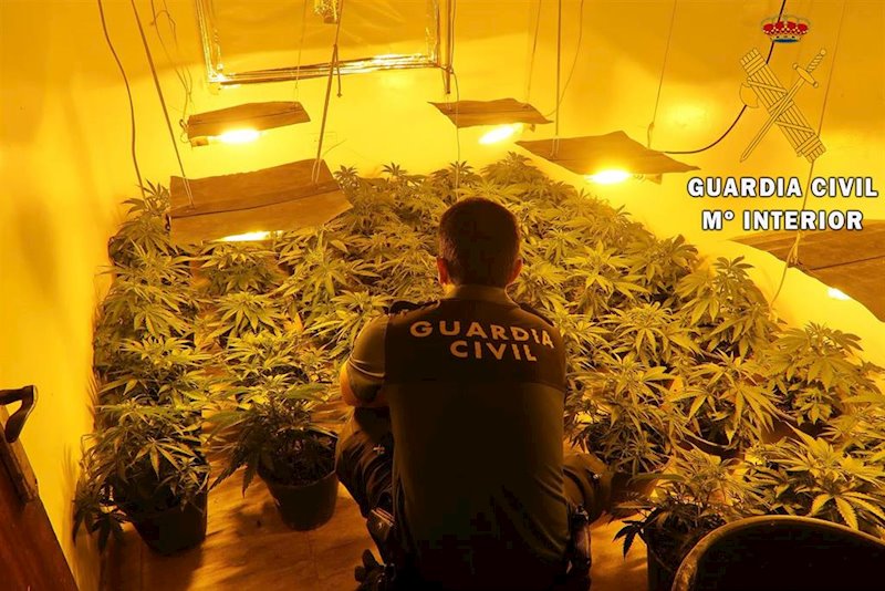 ep plantacion in door de marihuana localizada en pechina almeria ep plantacion in door de marihuana localizada en pechina almeria