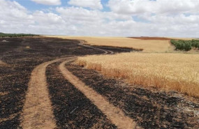 ep sequia 20190701143911