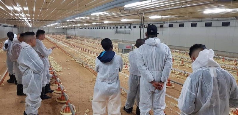 ep trabajadores en una granja