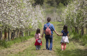 ep varias personas visitan una pomarada para ver manzanos en flor en ceceda a 30 de abril de 2022 en