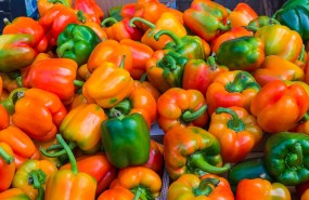 pepper 1078171 960 720