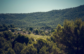 poveda textil es la 1 empresa climticamente neutra en el sector de la moda