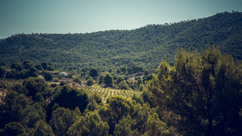 poveda textil es la 1 empresa climticamente neutra en el sector de la moda