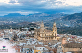 ambiseint 20231107145003 ambiseint 20231107145003