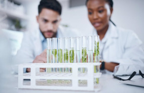 ep archivo   biotecnologia