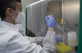 ep archivo   desde mapfre fian estos datos en el levantamiento de las restricciones y un aumento de