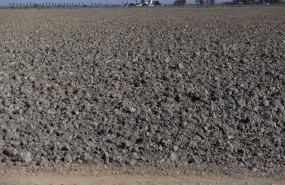 ep archivo   tierras de cultivo de arroz sin sembrar a causa de la sequia a 26 de agosto de 2022 en