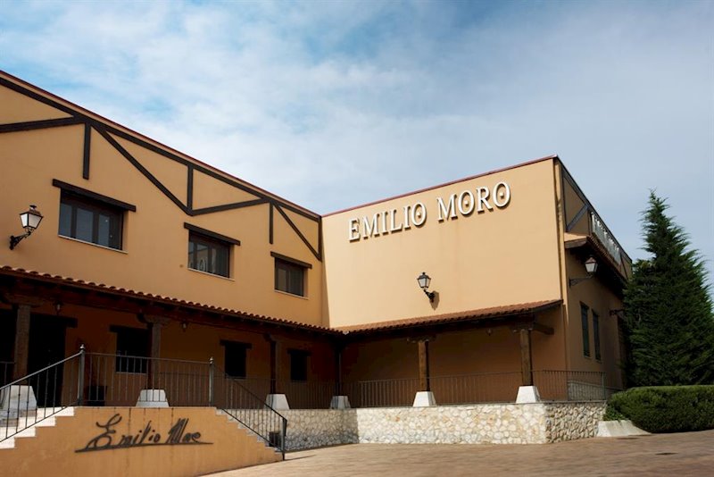 Bodega Emilio Moro | BODEGA EMILIO MORO ep bodega emilio moro