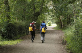 ep ecoembes recogio 264 toneladas de envases en cinco meses en el camino de santiago a su paso por