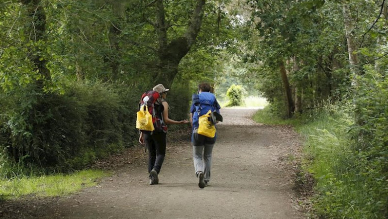 Ecoembes recogió 264 toneladas de envases en cinco meses en el Camino de Santiago a su paso por Cantabria, La Rioja, Castilla y León, Asturias y Galicia. | ECOEMBES - Archivo ep ecoembes recogio 264 toneladas de envases en cinco meses en el camino de santiago a su paso por