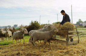 ep joven agricultor en extremadura