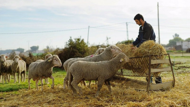 ep joven agricultor en extremadura
