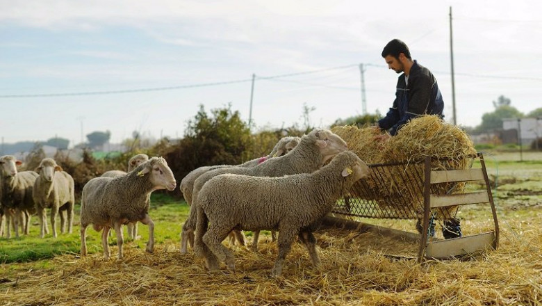ep joven agricultor en extremadura ep joven agricultor en extremadura