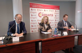 ep la consejera de transicion ecologica industria y comercio del principado de asturias belarmina