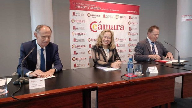 ep la consejera de transicion ecologica industria y comercio del principado de asturias belarmina
