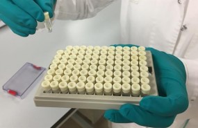ep laboratorio 20180126140503 ep laboratorio 20180126140503