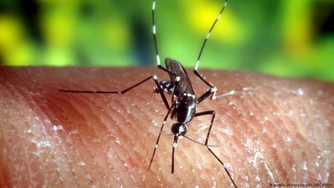 ep malaria 20180619173103