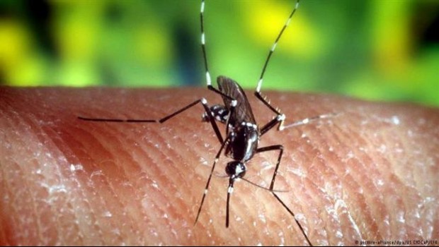 ep malaria 20180619173103