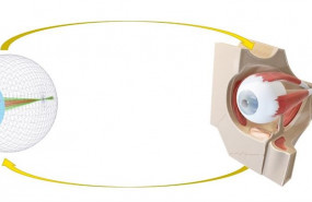 ep ojo digital