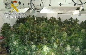 ep plantacionmarihuana intervenidala guardia civil
