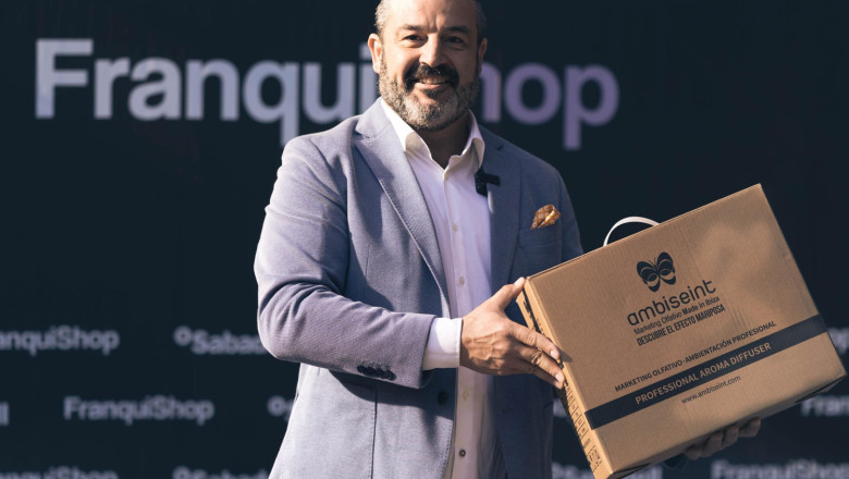 fernando castillo director general ambiseint 