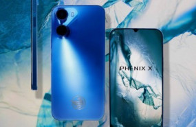 phenixximagewbackground phenixximagewbackground