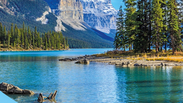 tui quincena de canada