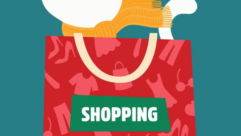 1573115420 flyer vitoria mercadillo del gatopage 0001