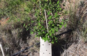 22 20251017110151 22 20251017110151