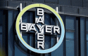 bayercb11