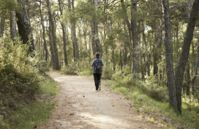 captura de pantalla 2024 06 19 a les 201838 1