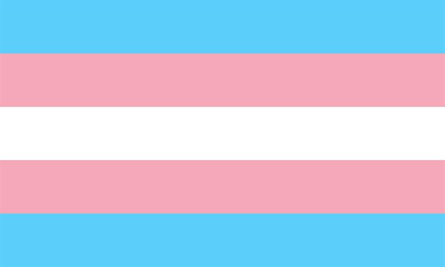 ep bandera transexual