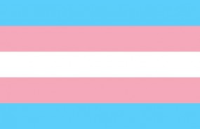 ep bandera transexual