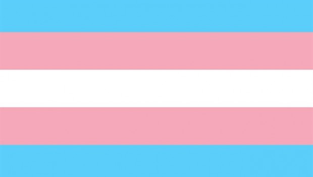 ep bandera transexual