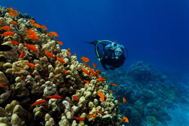 Buceo | EUROPA PRESS ep buceo